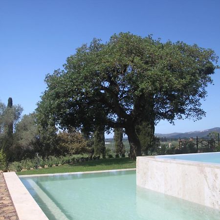 Agriturismo Il Broletto Suvereto Extérieur photo