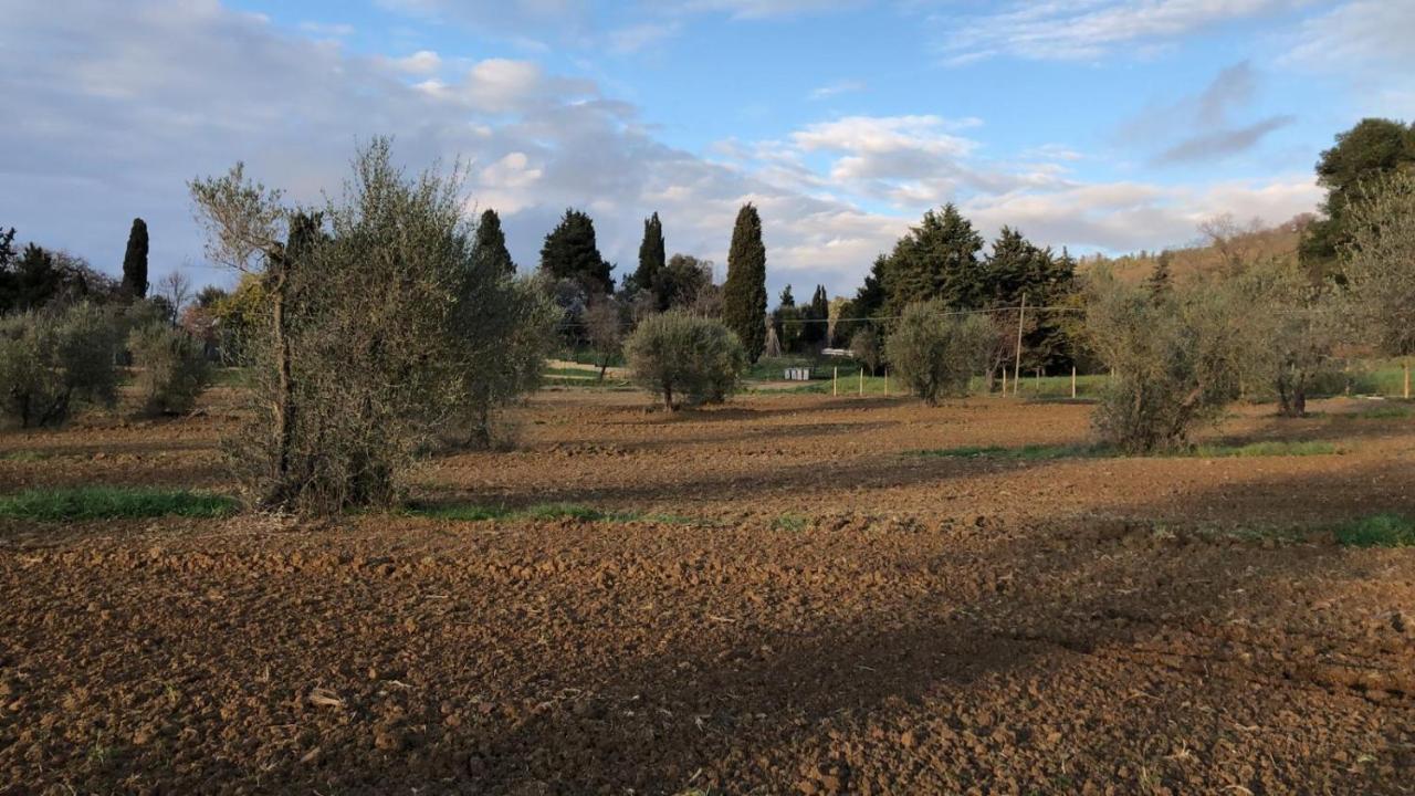 Agriturismo Il Broletto Suvereto Extérieur photo